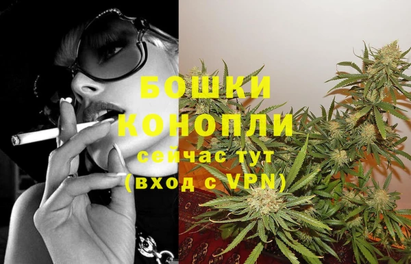 тгк Белокуриха