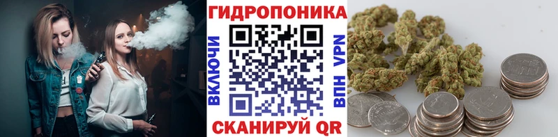 Бошки Шишки планчик  Подольск 